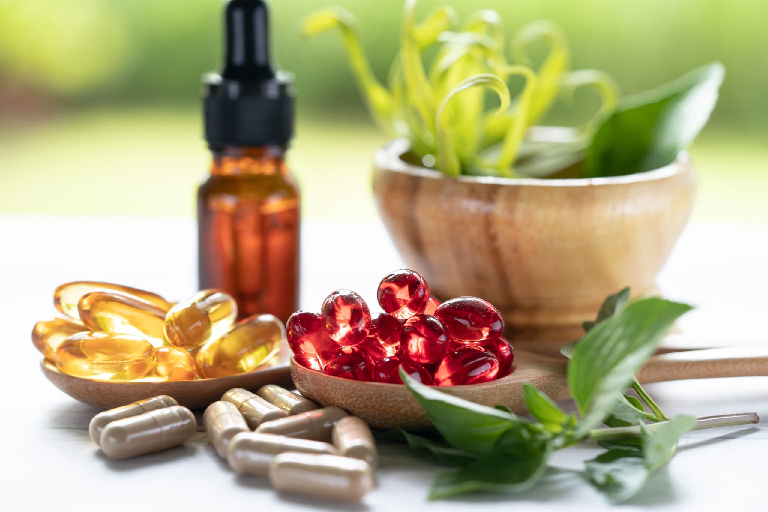 Plantas y fitoterapia